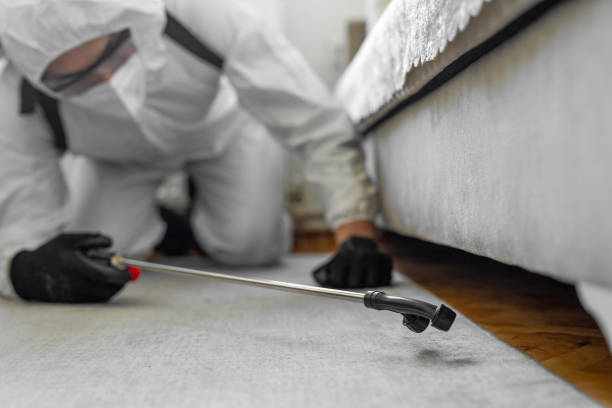 Professional Bed Bug Control technician working in Sauk City, WI